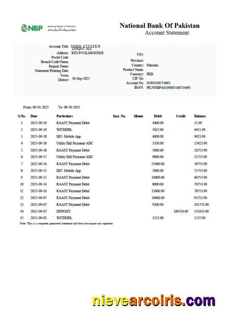 Premium Pakistan National Bank Of Pakistan Account Statement Word And PDF Template