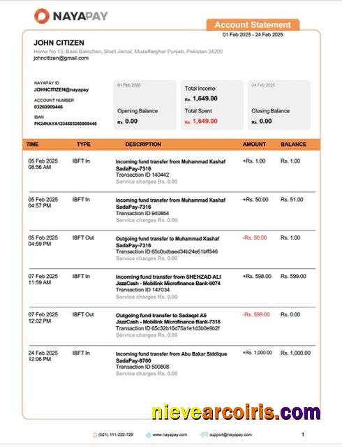 Editable Pakistan NayaPay Account Statement Word And PDF Template