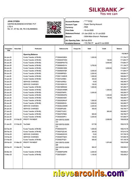Professional Pakistan Silkbank Account Statement Word And PDF Template