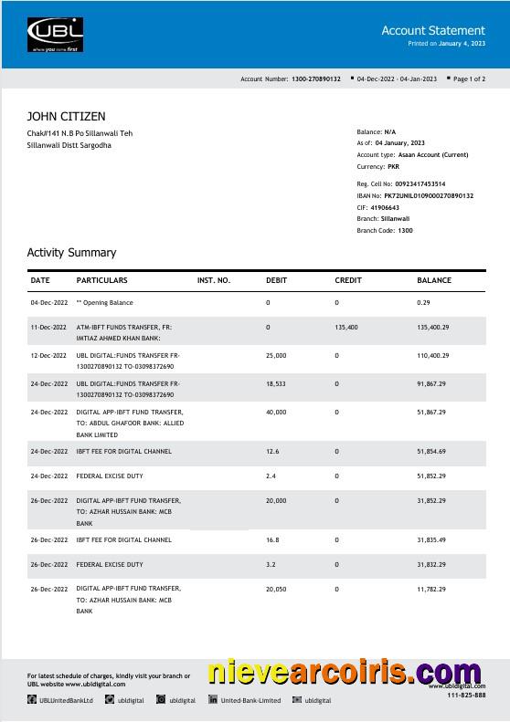 Realistic Pakistan UBL Bank Statement Word And PDF Template, 2 Pages