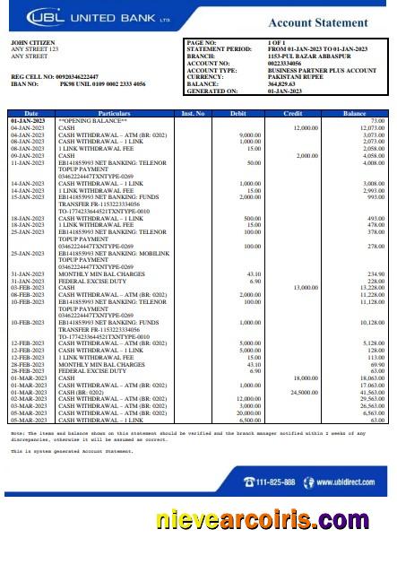 Professional Pakistan UBL Bank Statement Word And PDF Template