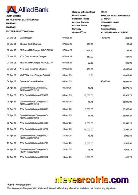 Realistic Pakistan Allied Bank Limited Account Statement Word And PDF Template