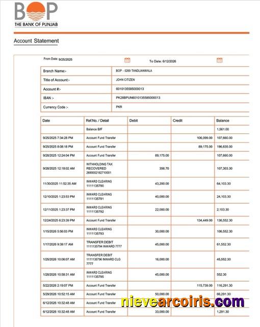 Realistic Pakistan Bank Of Punjab Account Statement Word And PDF Template