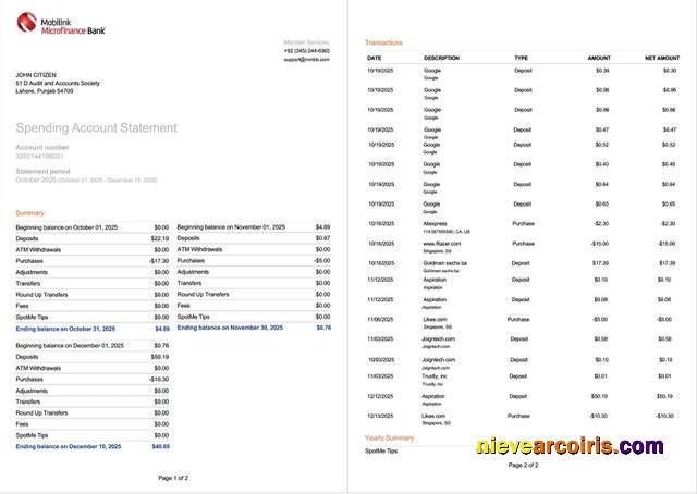 Premium Pakistan Mobilink Microfinance Bank Statement Of Account Word And PDF Template, 2 Pages, Version 2