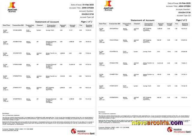 Professional Pakistan Mobilink Microfinance Bank Statement Of Account Word And PDF Template, 2 Pages