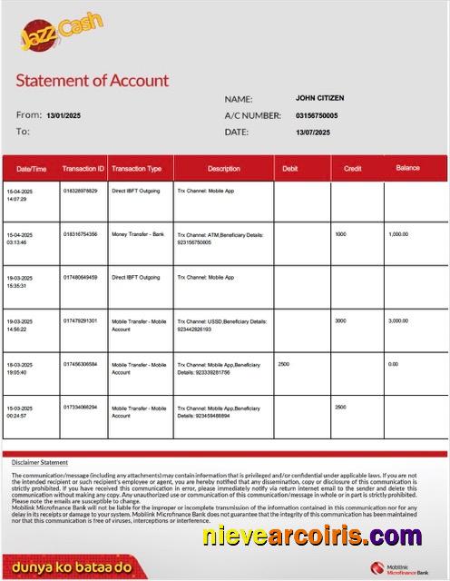 Premium Pakistan Mobilink Microfinance Bank Statement Of Account Word And PDF Template, Version 2