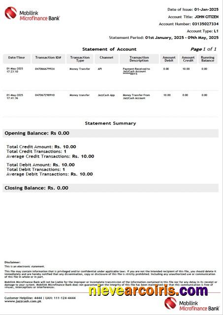Realistic Pakistan Mobilink Microfinance Bank Statement Of Account Word And PDF Template