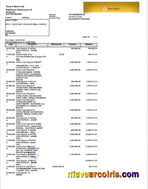 Premium Pakistan Soneri Bank Statement Of Account Word And PDF Template