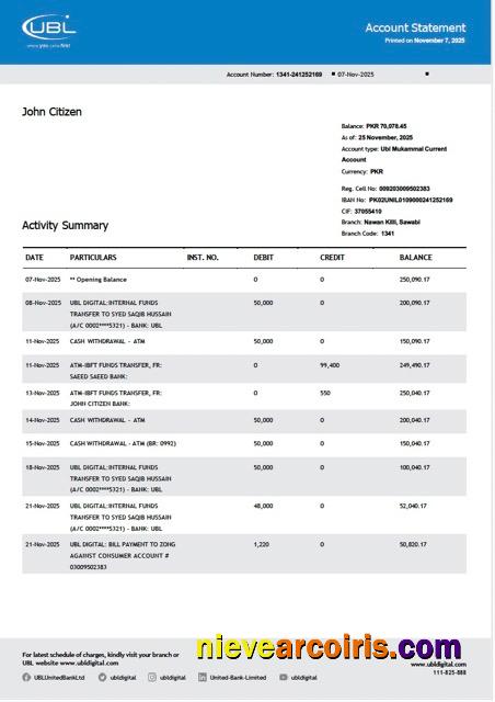 Professional Pakistan United Bank Limited Account Statement Word And PDF Template