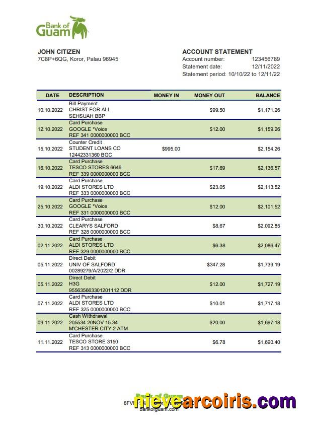 Palau Bank Of Guam Bank Statement Xls Preview