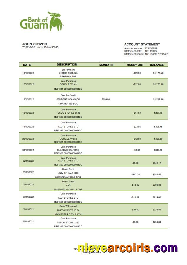 Palau Bank Of Guam Bank Statement Preview