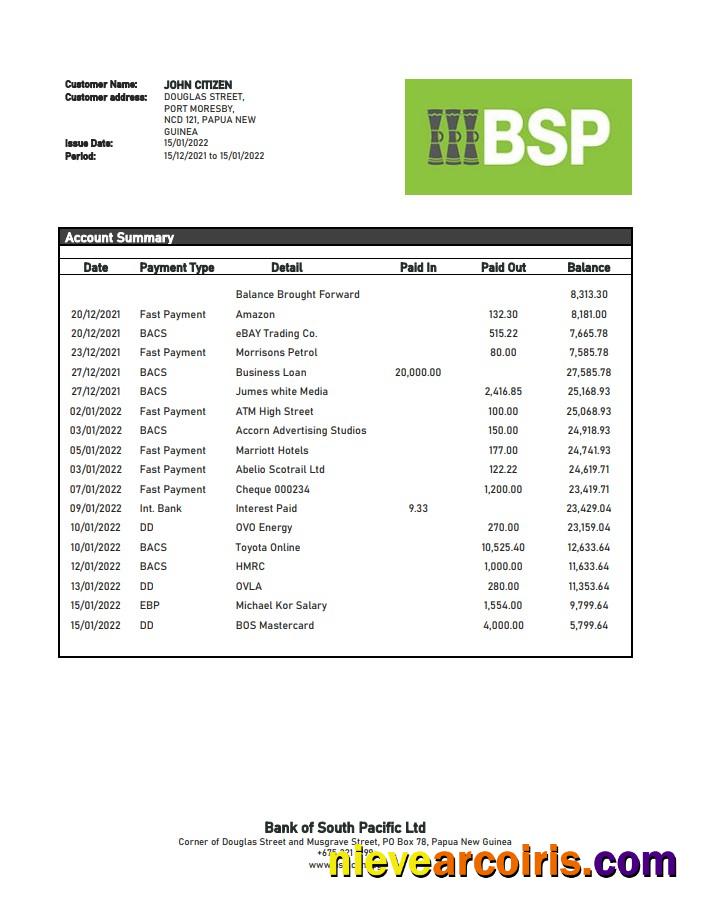 Papua New Guinea BSP Bank Statement Photolook