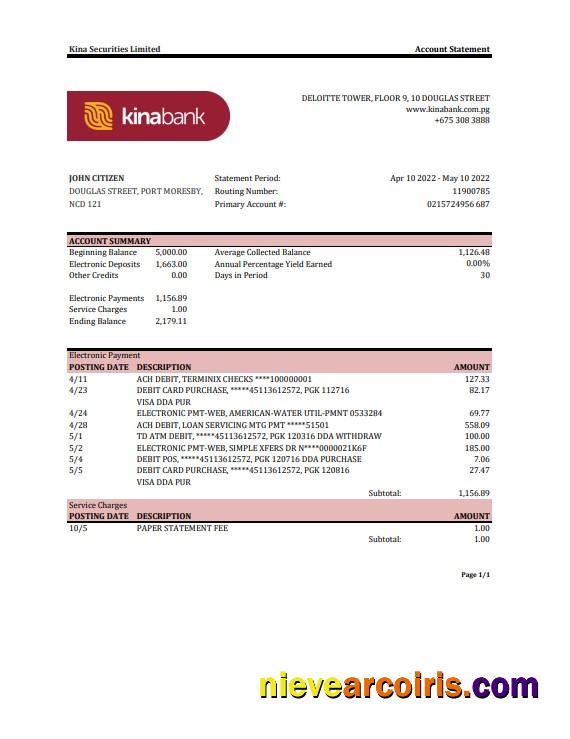Professional Papua New Guinea Kina Securities Limites Bank Statement Excel And PDF Template