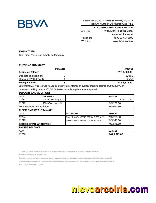 Paraguay BBVA Bank Statement Xls Preview