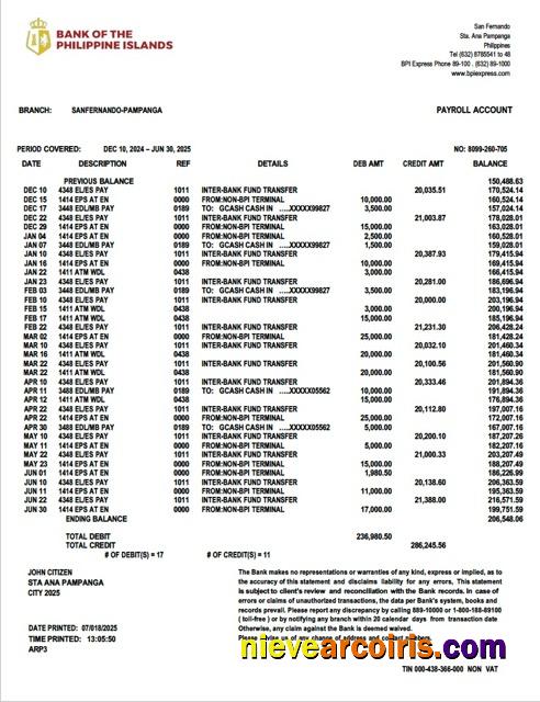 Premium Philippines Bank Of The Philippine Islands Account Statement Word And PDF Template