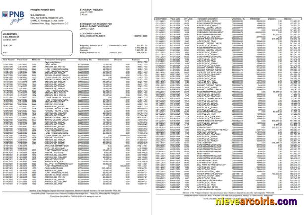 Philippines PNB Bank St Template