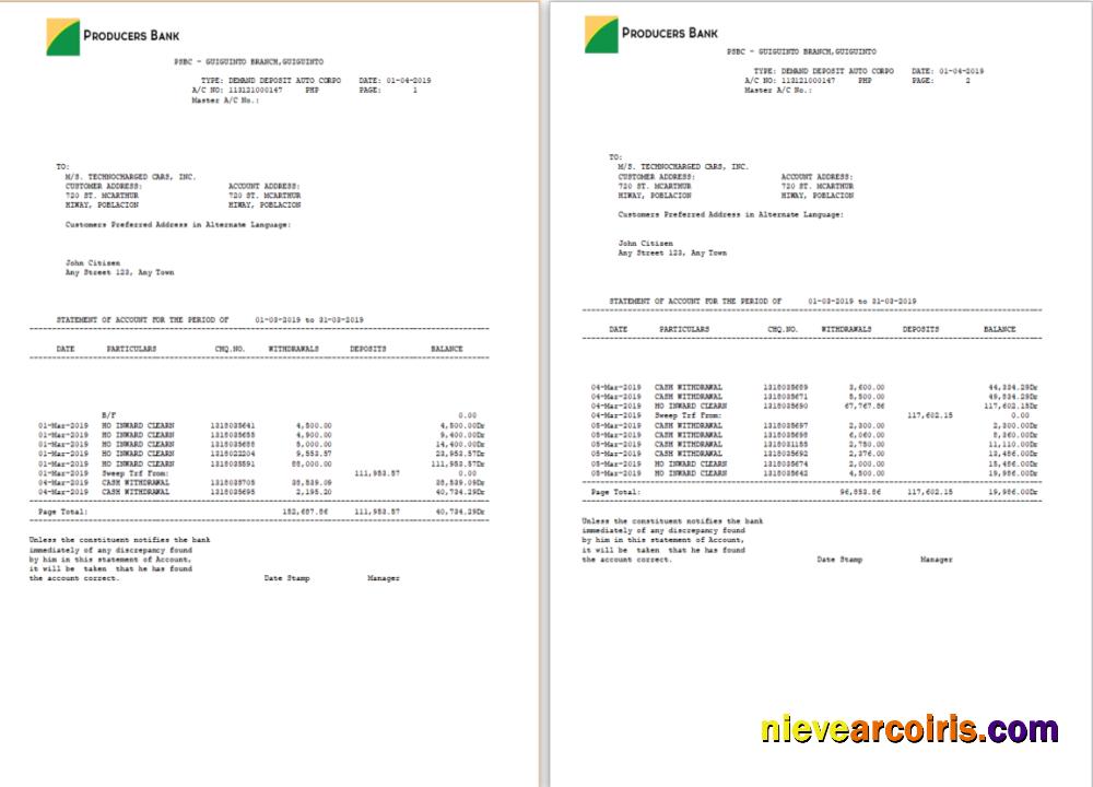 Premium Philippines Producers Bank Statement Word And PDF Template, 2 Pages