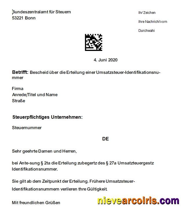 Philippines Tonik Digital Bank Inc. Consolidated Statement, 2 Pages, SCR Preview
