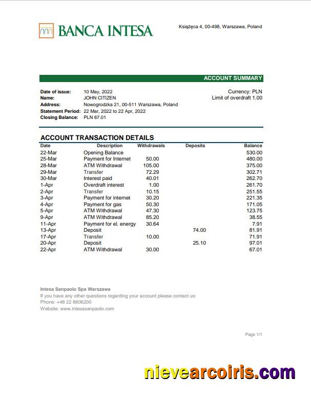 Premium Poland Banca Intesa Bank Statement Excel And PDF Template