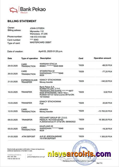 Professional Poland Bank Pekao Account Statement Word And PDF Template