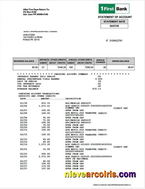 Premium Puerto Rico 1 First Bank Statement Of Account Word And PDF Template
