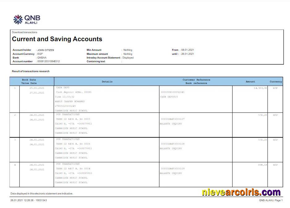 Premium Qatar QNB ALAHLI Bank Statement Word And PDF Template Scr