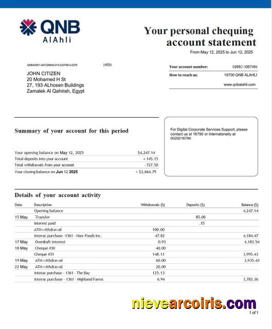 Realistic Qatar QNB Alahli Bank Account Statement Word And PDF Template