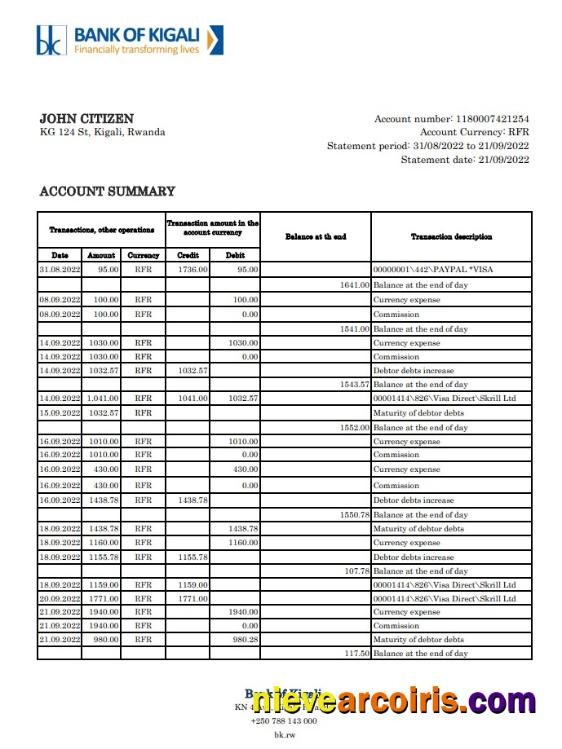 Rwanda Bank Of Kigali Bank Statement Sample