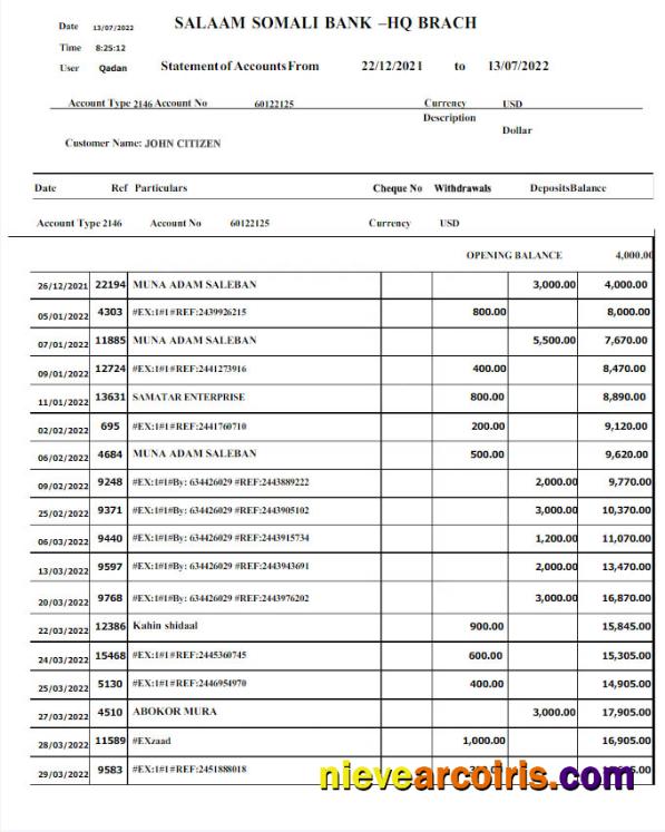 Professional SOMALI SALAAM SOMALI Bank Statement Word And PDF Template