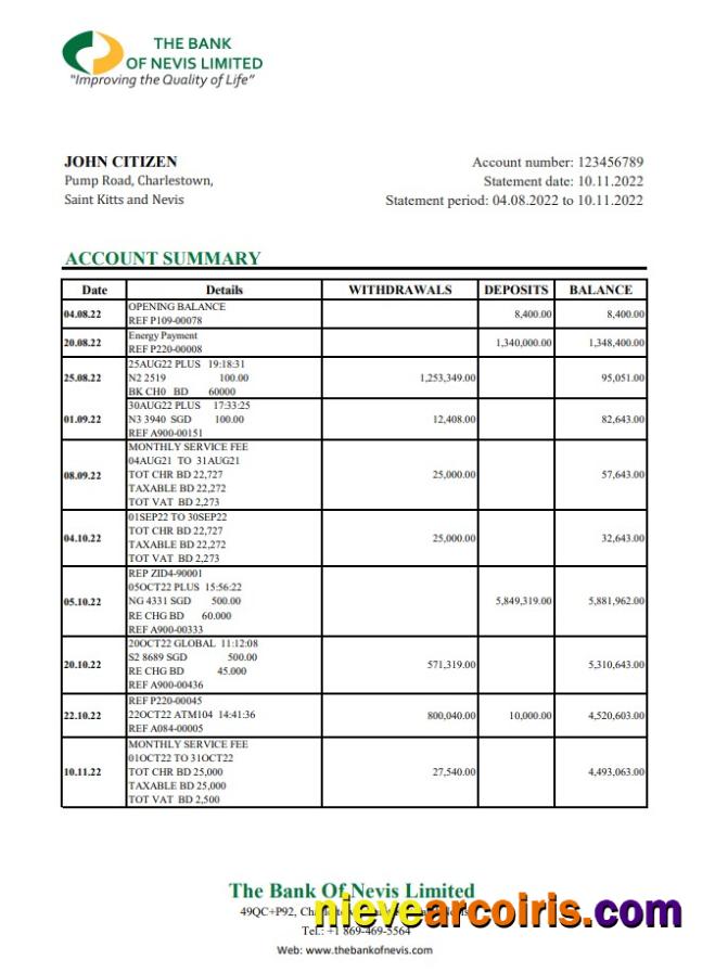 Saint Kitts And Nevis The Bank Of Nevis Bank Statement Xls Photolook