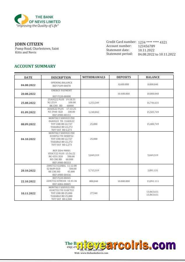 Saint Kitts And Nevis The Bank Of Nevis Bank Statement Preview