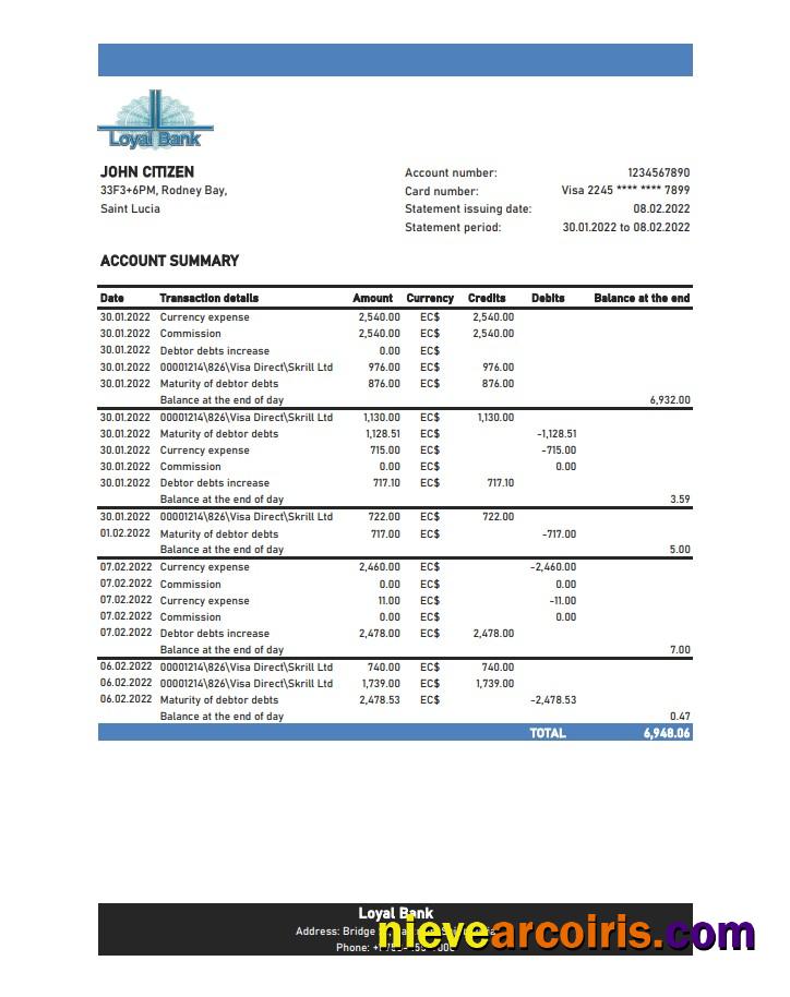 Saint Lucia Loyal Bank Statement Xls Photolook