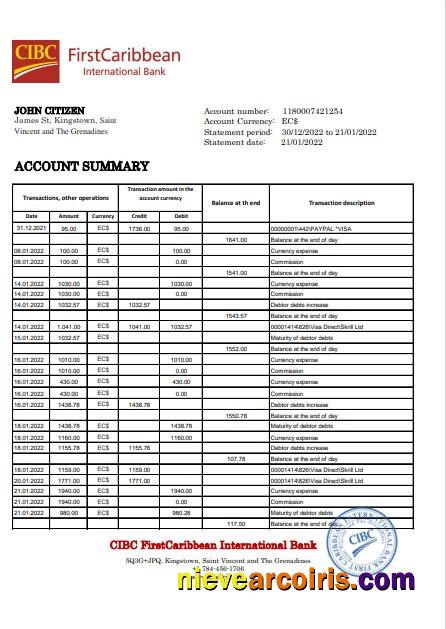 Editable Saint Vincent And The Grenadines First Caribbean International Bank Statement Template In Excel And PDF Format