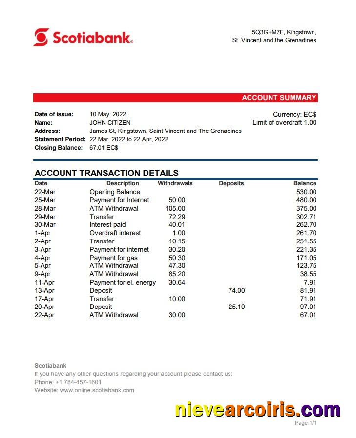 Saint Vincent And The Grenadines Scotiabank Bank Statement Preview