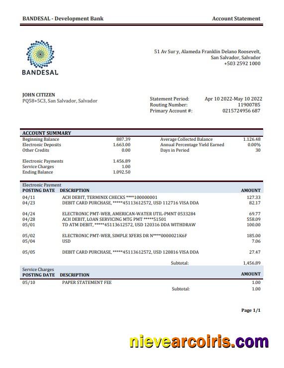 Premium Salvador Bandesal Bank Statement Template In Word And PDF Format