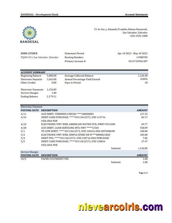 Professional Salvador Bandesal Bank Statement, Excel And PDF Template