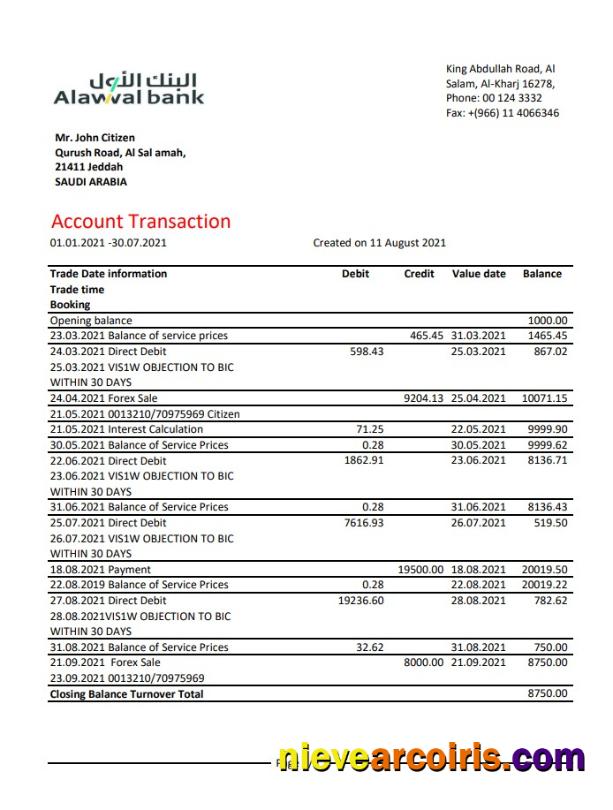 Saudi Arabia Alawwal Bank Excel Pdf Photolook
