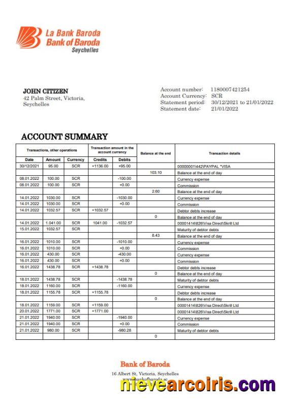 Seychelles Bank Of Baroda Bank Statement Preview
