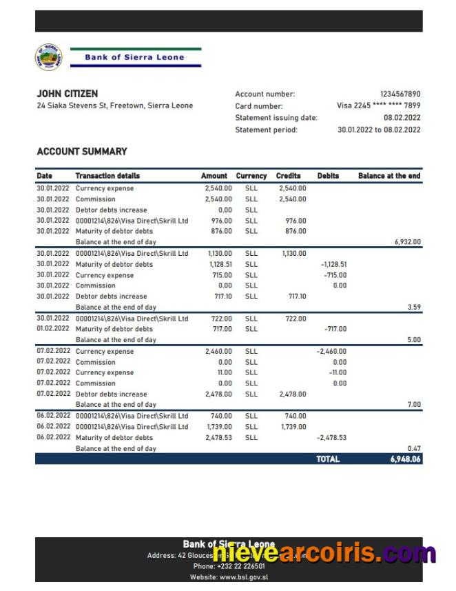 Sierra Leone Bank Of Sierra Leone Bank Statement Xls Template