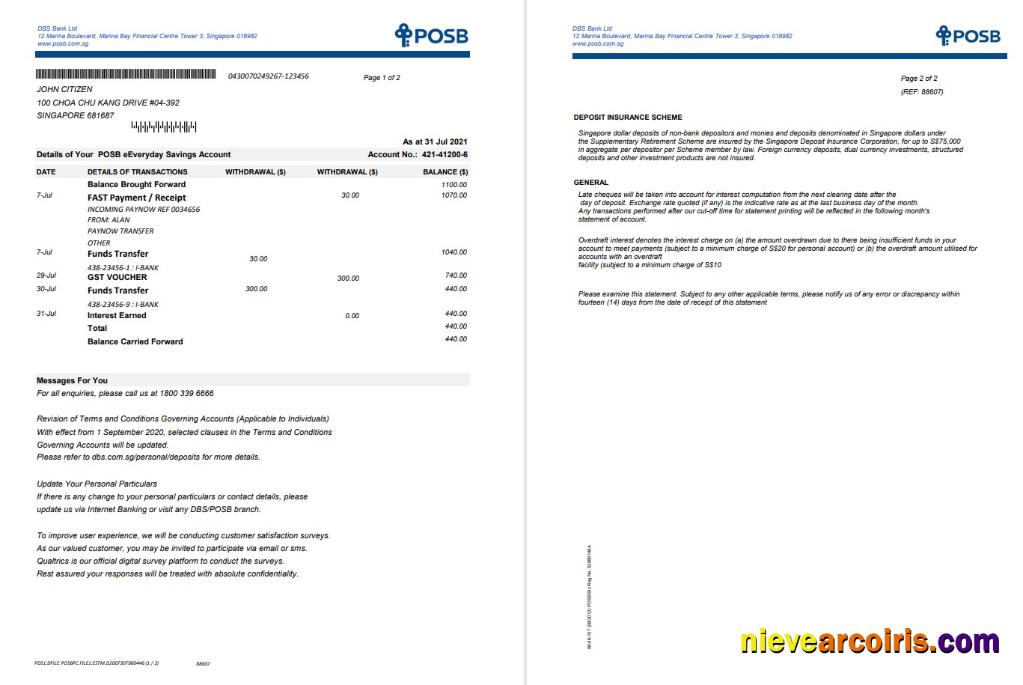 Singapore DBS 2 Pages Template