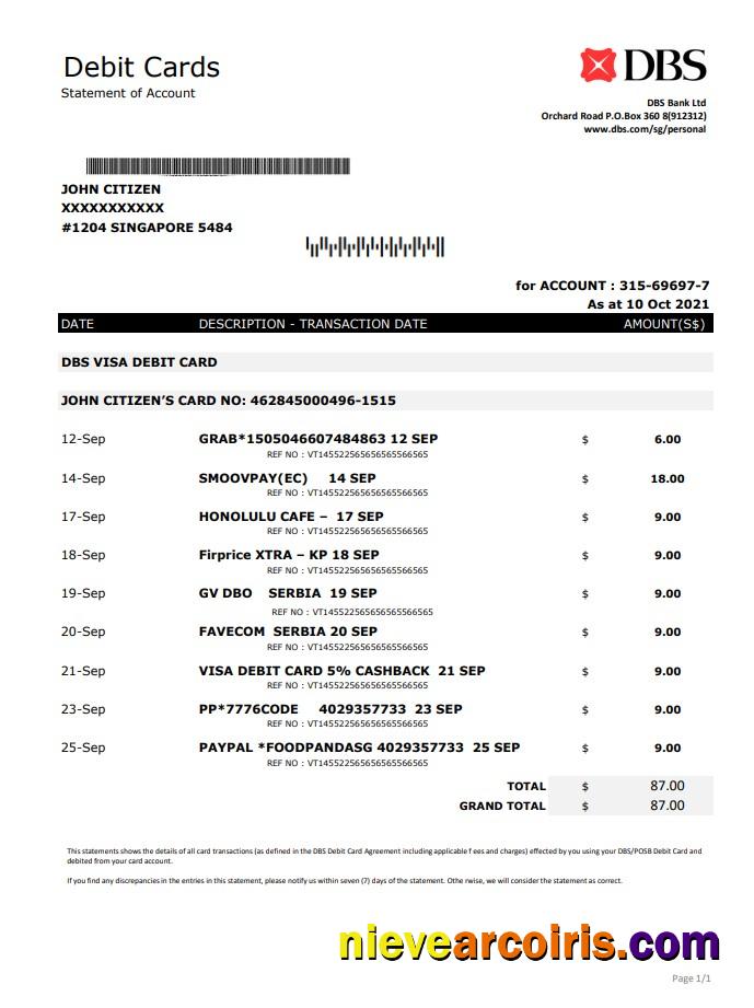 Singapore DBS Bank Excel Pdf Photolook