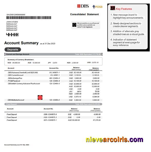 Realistic Singapore DBS Bank Statement Word And PDF Template, Version 2