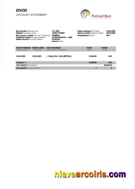 Premium Slovenia ProCredit Bank Account Statement Word And PDF Template