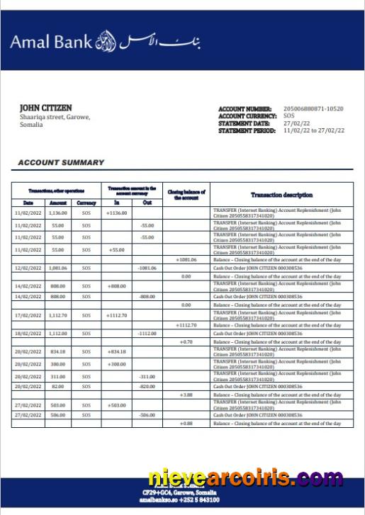 Professional Somalia Amal Bank Statement Template In Word And PDF Format