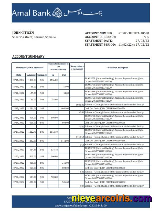 Somalia Amal Bank Statement Preview