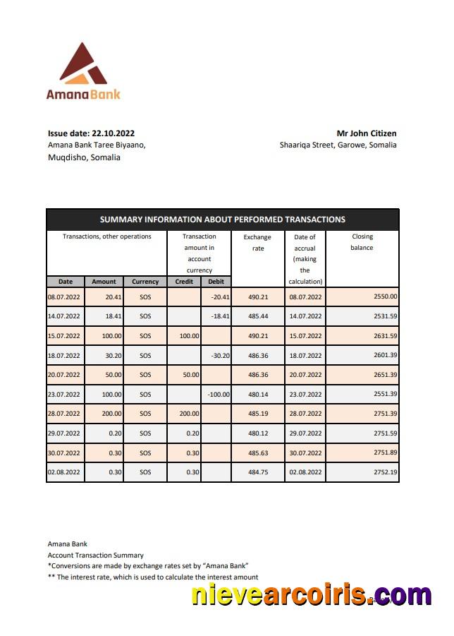 Somalia Amana Bank Statement Xls Photolook