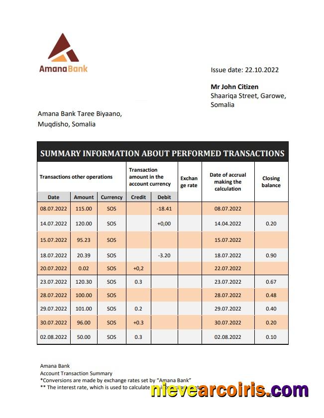 Somalia Amana Bank Statement Preview