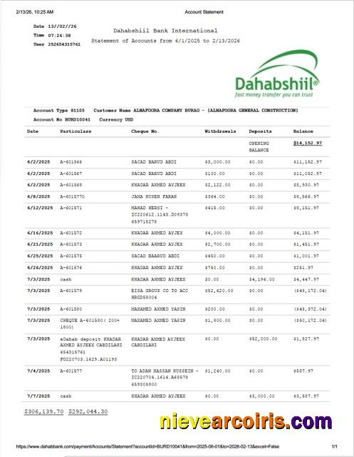Premium Somalia Dahabshiil Bank International Account Statement Word And PDF Template
