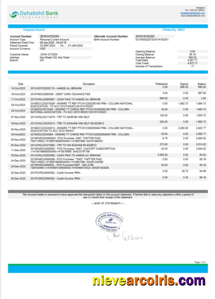 Realistic Somalia Dahabshil Bank International Bank Statement Word And PDF Template