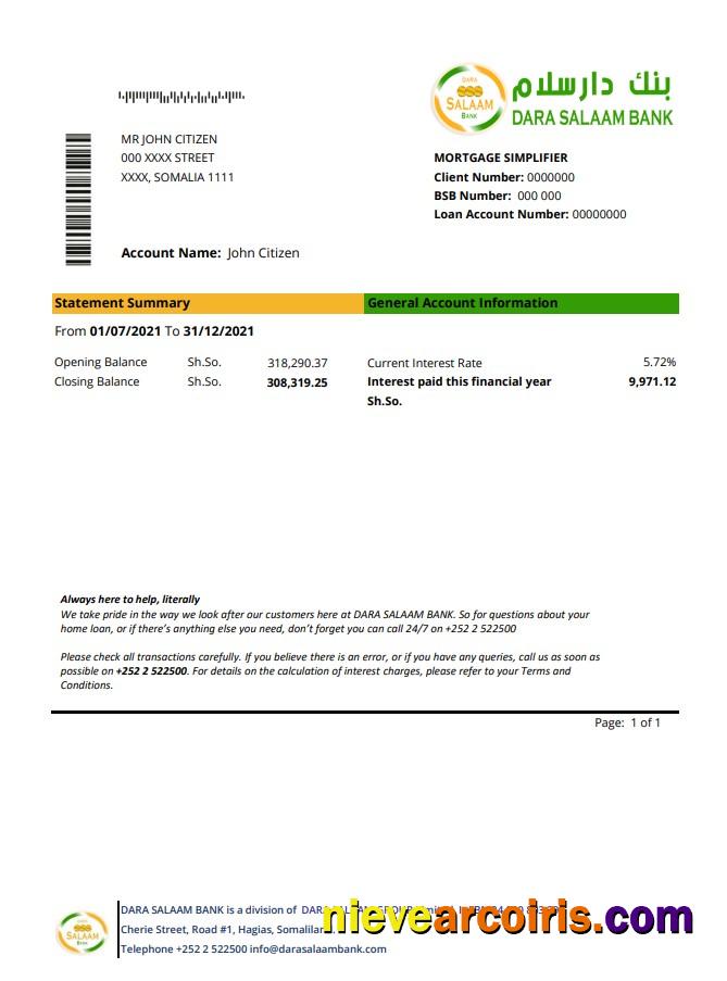 Somalia Dara Salaam Bank Excel Pdf Photolook